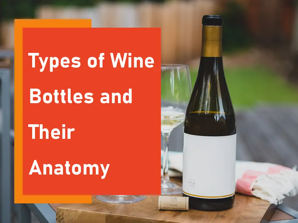 Types of Wine Bottles and Their Anatomy