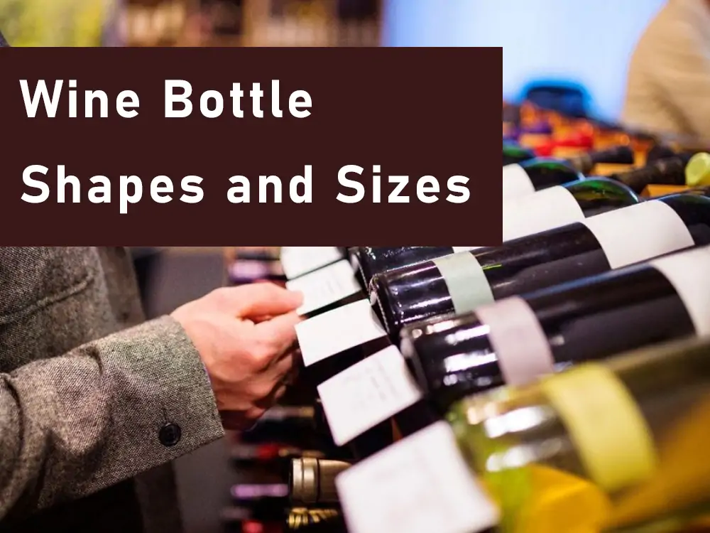 Wine bottle shapes and sizes