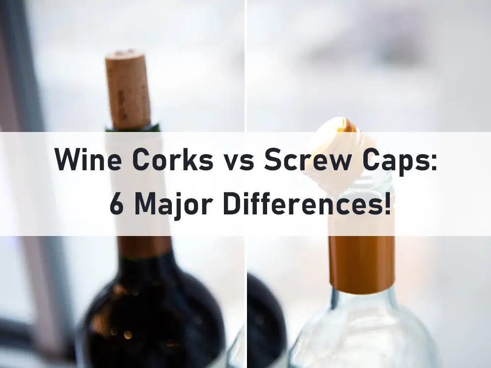 Wine Corks vs Screw Caps 6 Major Differences